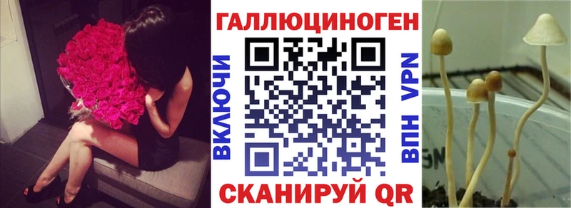 Галлюциногенные грибы MAGIC MUSHROOMS  Купить где  Учалы 